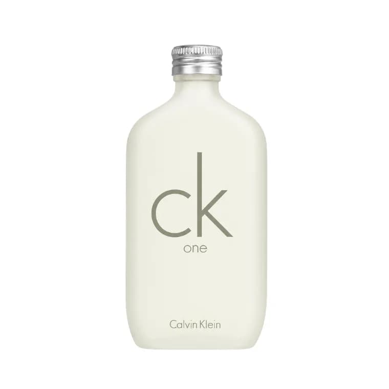 Calvin Klein CK One Eau de Toilette (100ml)